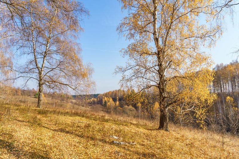 Фото сделанное пользователем nikbologov