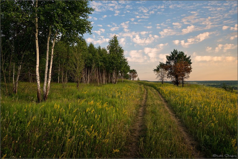 Фото сделанное пользователем Григорий Шалик