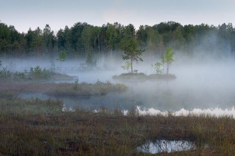 Фото сделанное пользователем sveelka