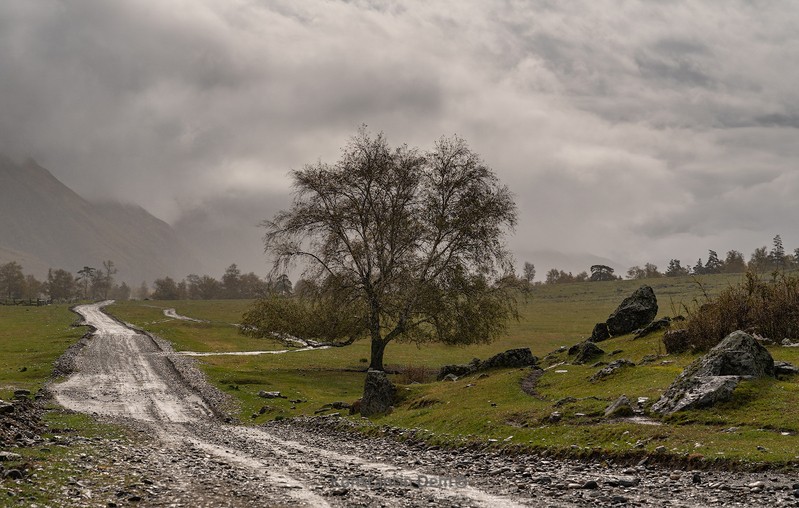 Фото сделанное пользователем KotoPalych