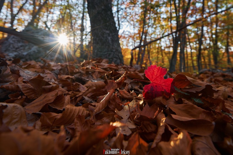 Фото сделанное пользователем P.A.A.