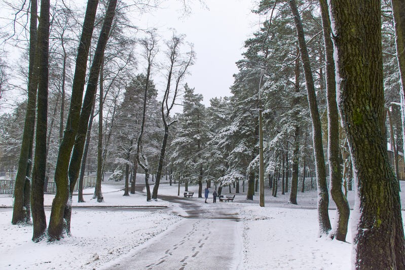 Фото сделанное пользователем Alikbars