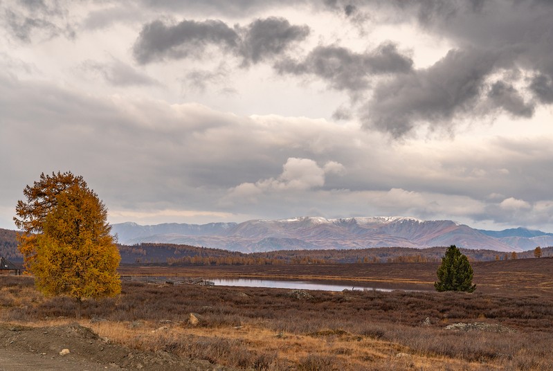 Фото сделанное пользователем KotoPalych