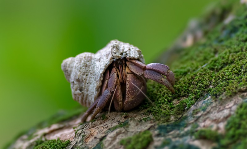 Фото сделанное пользователем andreybs