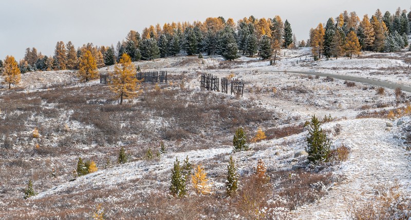 Фото сделанное пользователем KotoPalych