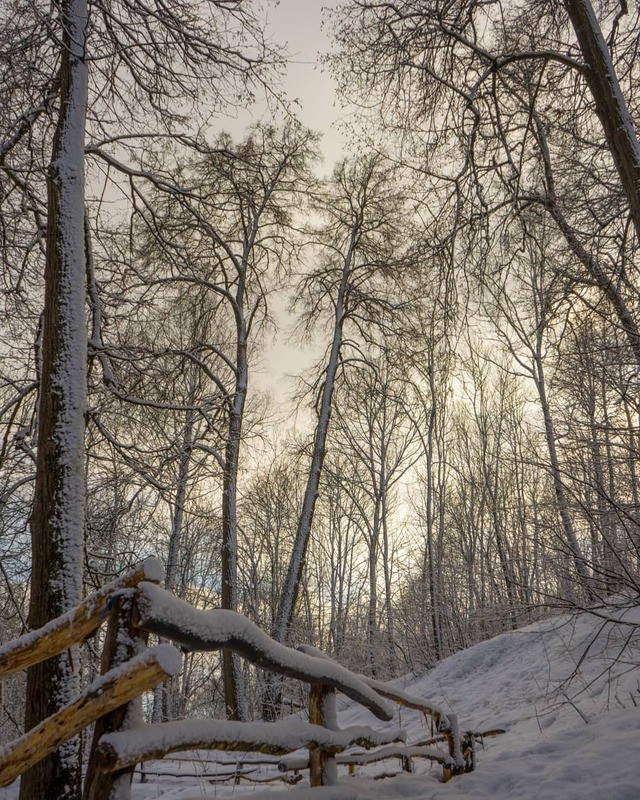 Фото сделанное пользователем Semenko