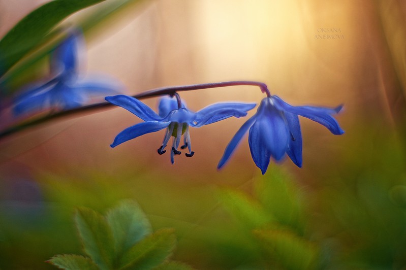 Фото сделанное пользователем Lawanda