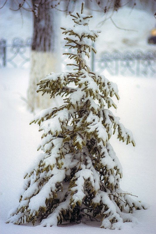 Фото сделанное пользователем alexey41rus