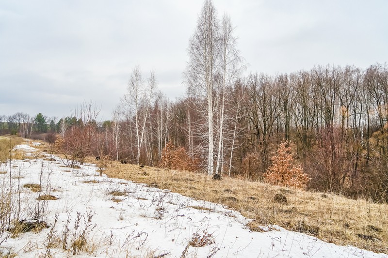 Фото сделанное пользователем nikbologov