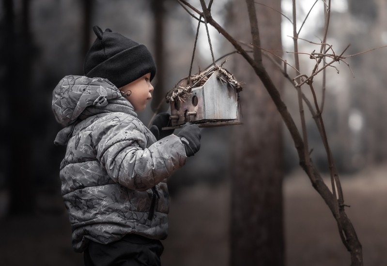 Фото сделанное пользователем erzhavin