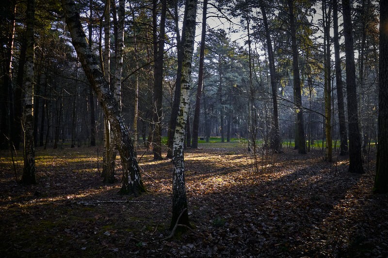 Фото сделанное пользователем Alikbars