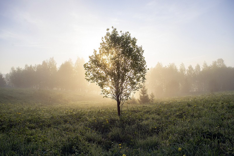 Фото сделанное пользователем wedmak