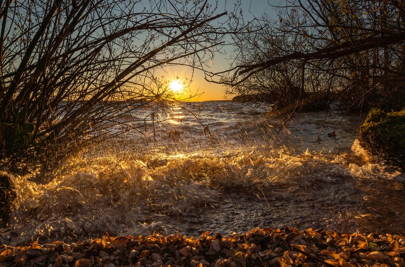 Фото сделанное пользователем KotoPalych