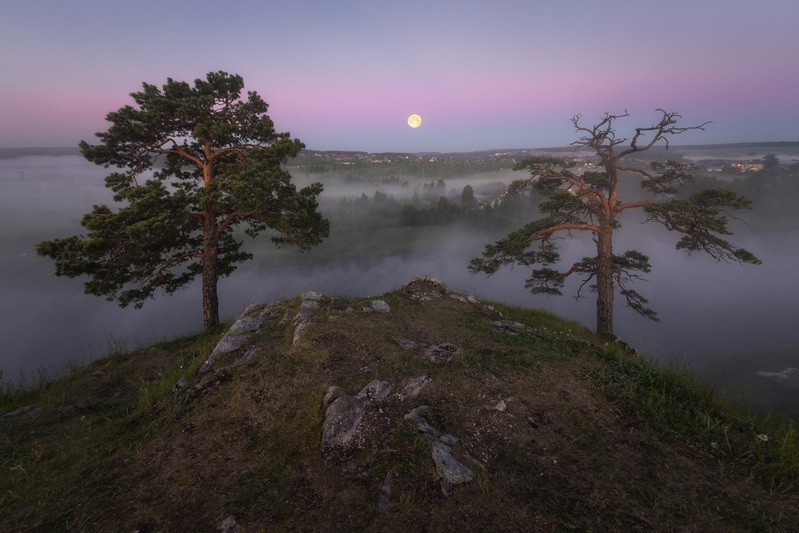 Фото сделанное пользователем Gomunkul