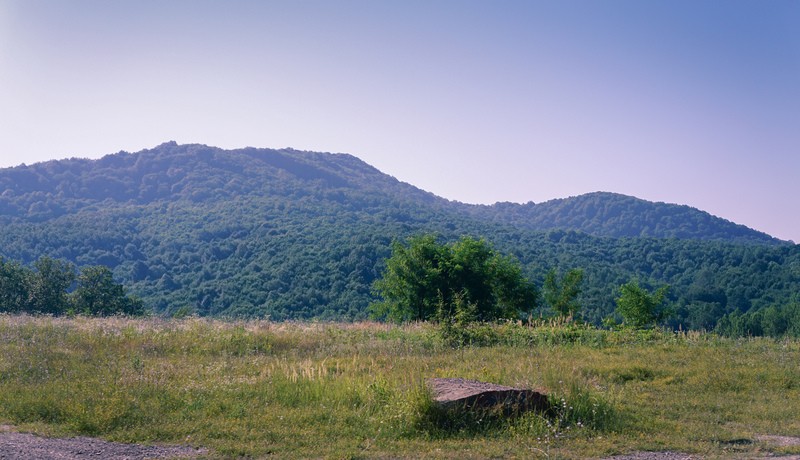 Луг фото для детей