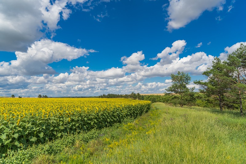 Фото сделанное пользователем nikbologov