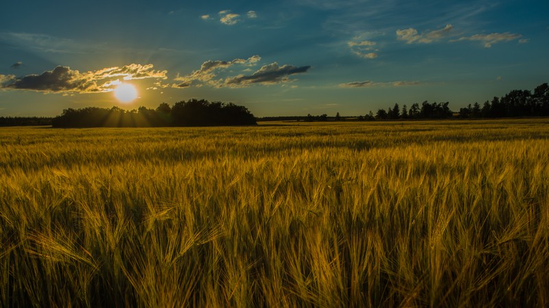 Фото сделанное пользователем Semenko