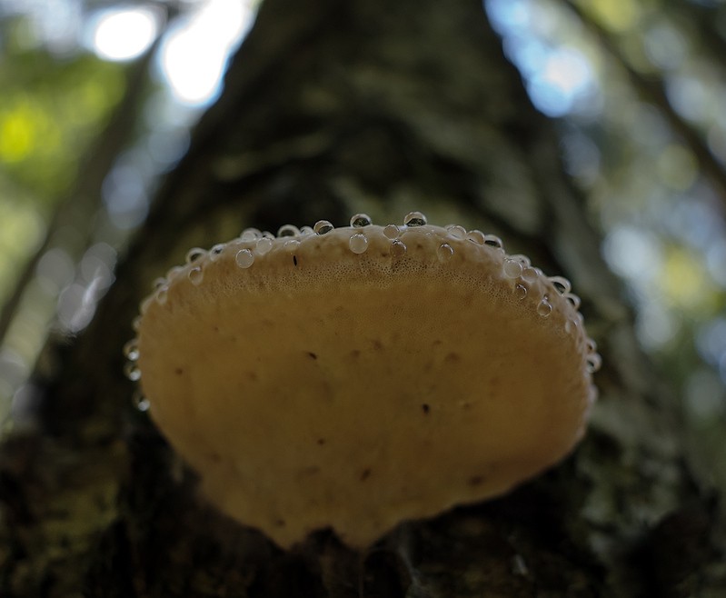 Фото сделанное пользователем SmolAleks