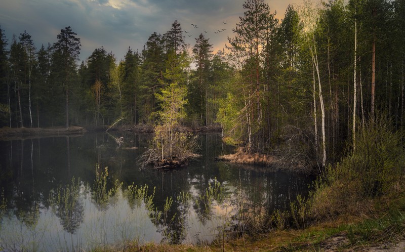 Фото сделанное пользователем Нина Васильевна