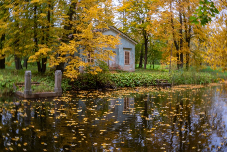 Фото сделанное пользователем мульден