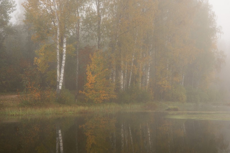 Фото сделанное пользователем sveelka