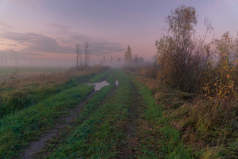 Фото сделанное пользователем мульден