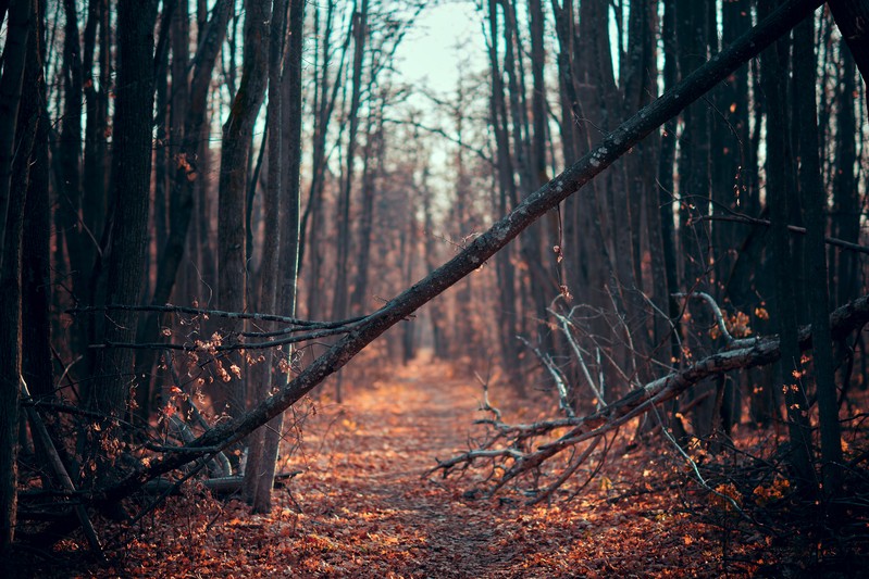 Фото сделанное пользователем Alan