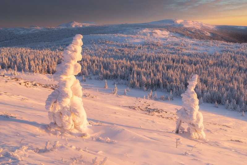 Фото сделанное пользователем Gomunkul