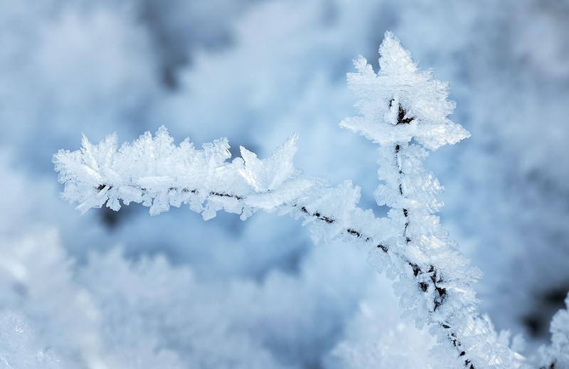 Фото сделанное пользователем SmolAleks