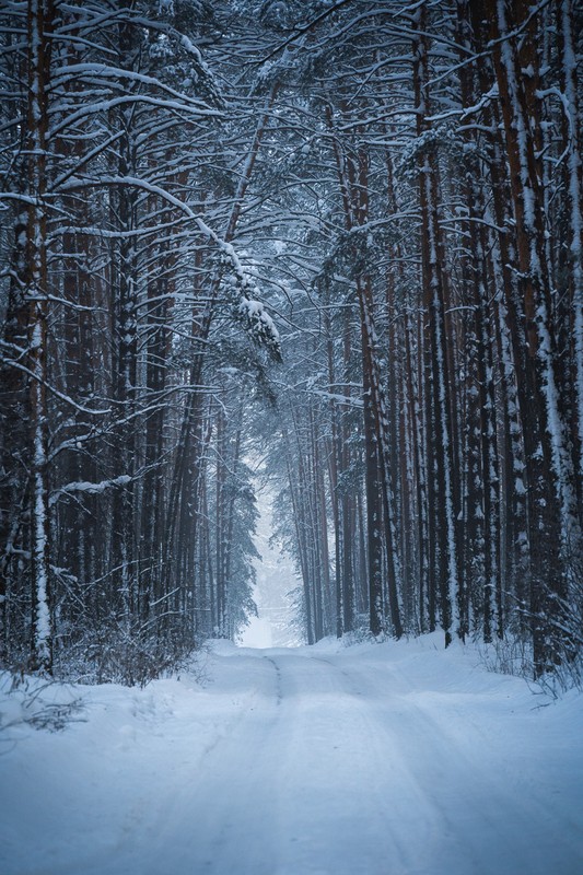 Фото сделанное пользователем Himmera