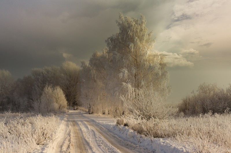 Фото сделанное пользователем Semenko