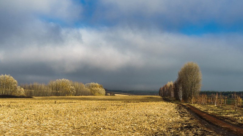 Фото сделанное пользователем nikbologov