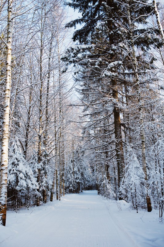 Фото сделанное пользователем osokinvm