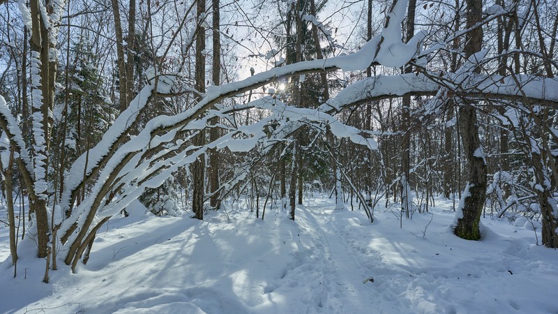 Фото сделанное пользователем morlok