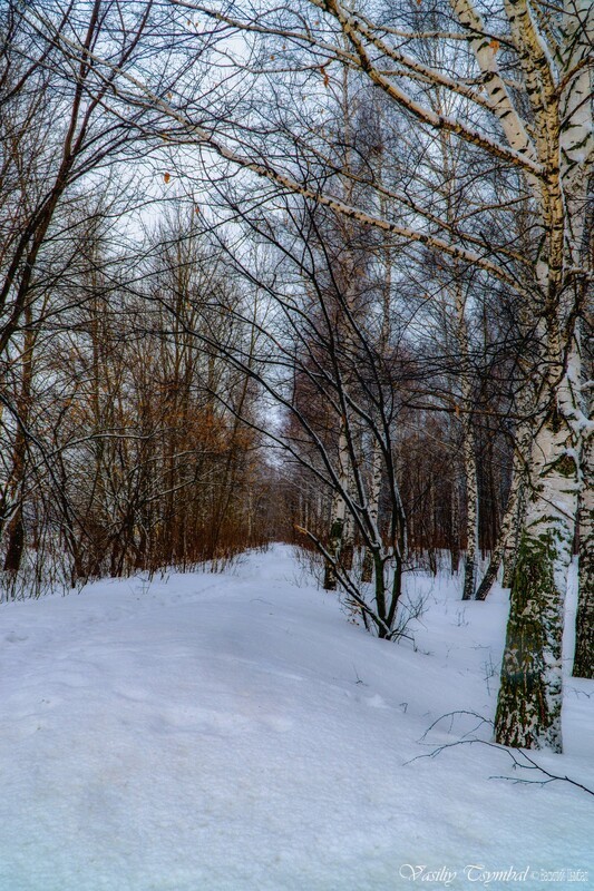 Фото сделанное пользователем lexiiikon