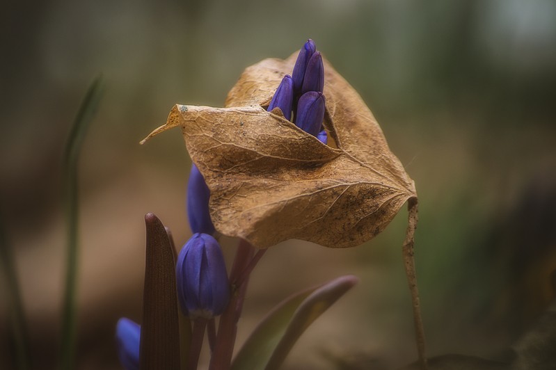 Фото сделанное пользователем Honceloor