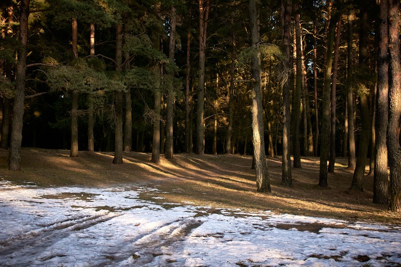 Фото сделанное пользователем Alikbars