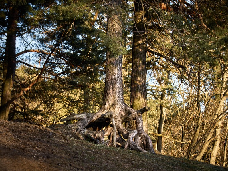 Фото сделанное пользователем Alikbars