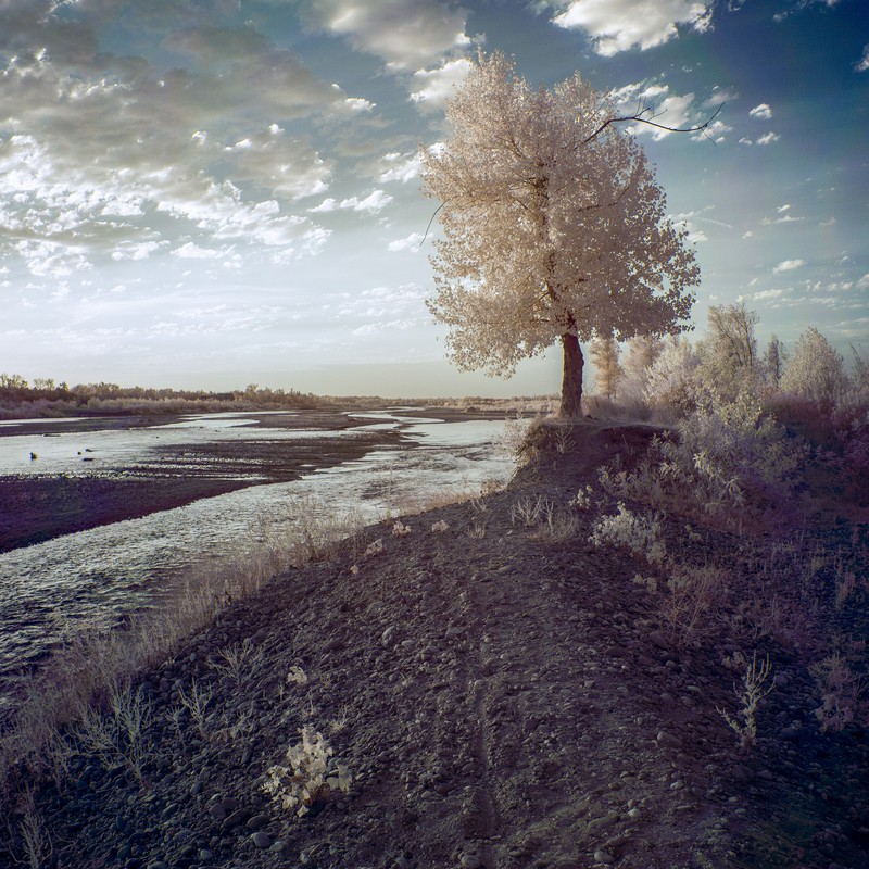 Фото сделанное пользователем Бродяга