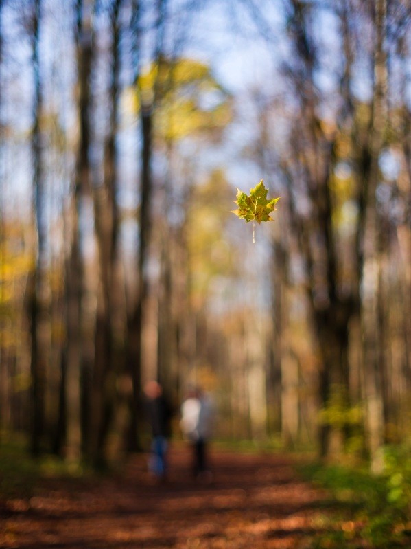 Фото сделанное пользователем Бродяга