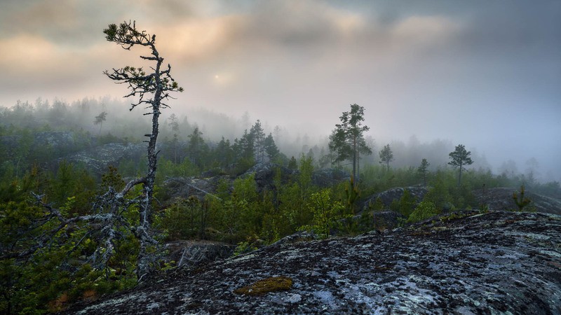 Фото сделанное пользователем TheChieF