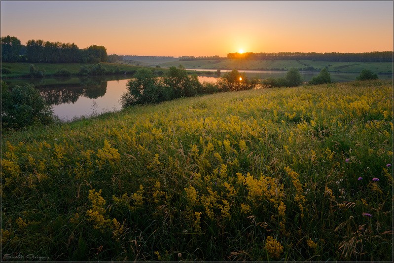 Фото сделанное пользователем Григорий Шалик