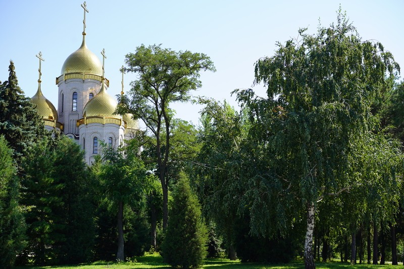 Фото сделанное пользователем Savinskiy