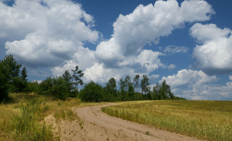 Фото сделанное пользователем Alikbars