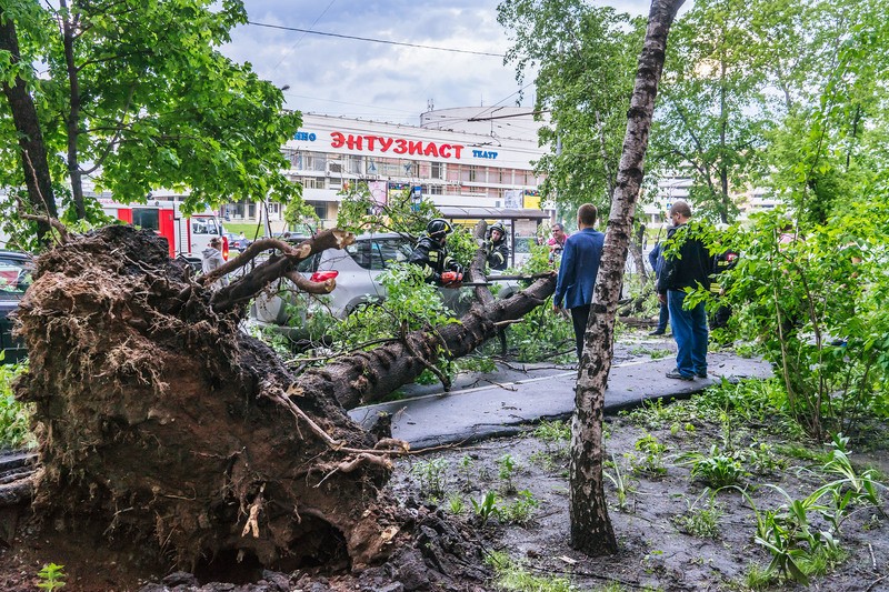 Фото сделанное пользователем КотёныГ