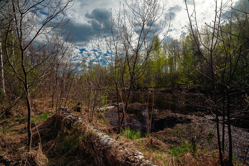 Фото сделанное пользователем MixaN