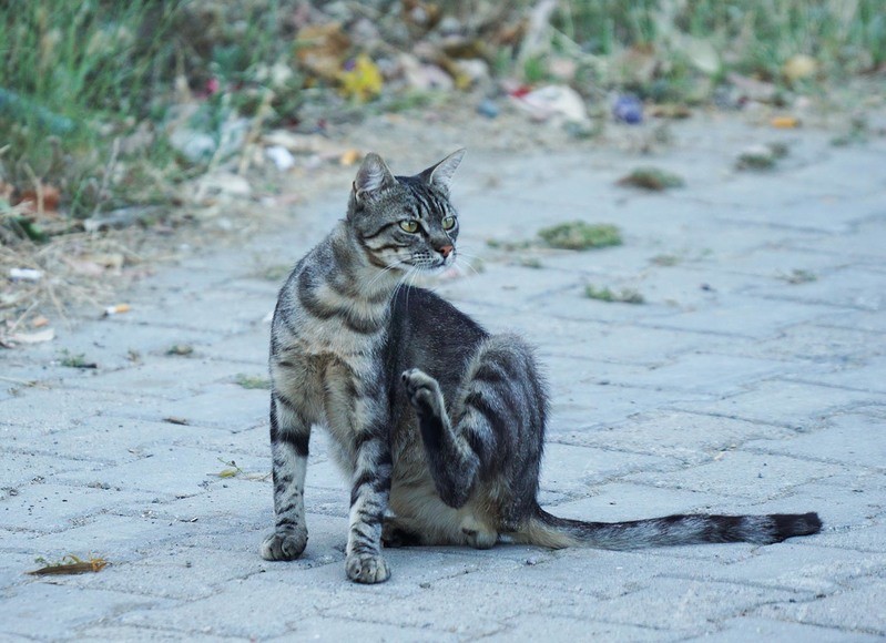 Фото сделанное пользователем Strannikov