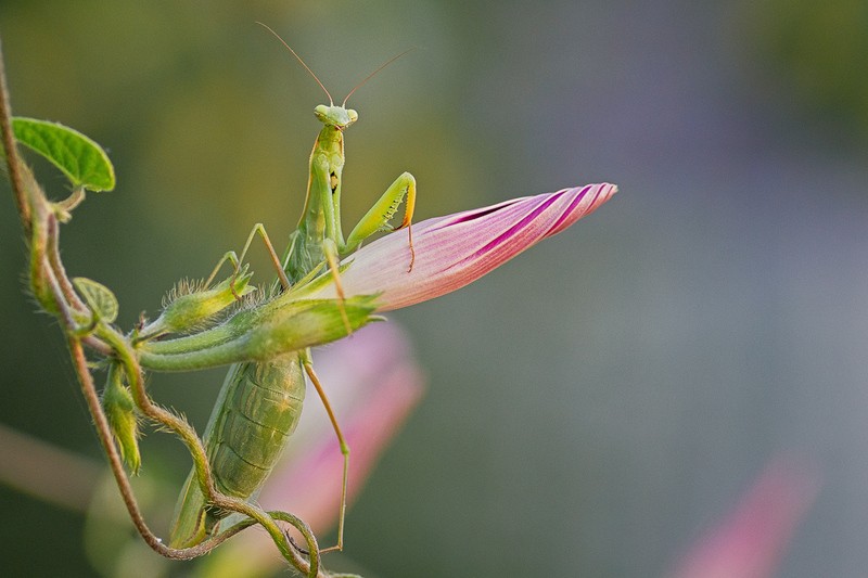 Фото сделанное пользователем a.green72