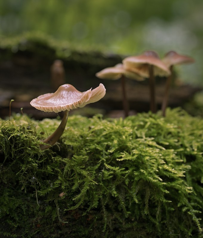 Фото сделанное пользователем SmolAleks