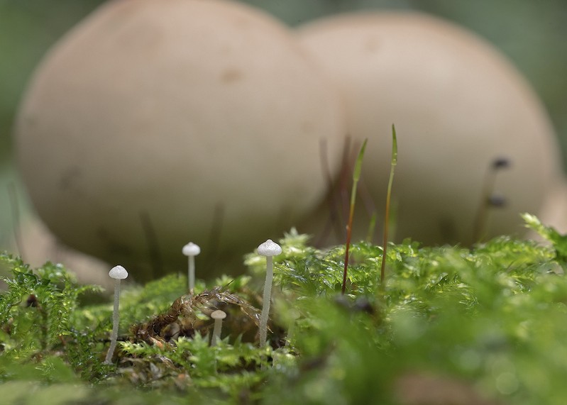 Фото сделанное пользователем SmolAleks